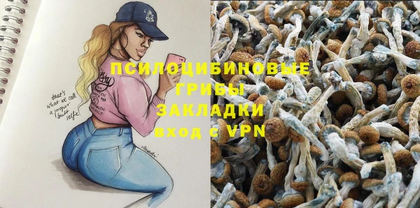 Альфа ПВП Балахна