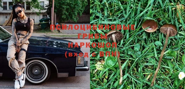мяу мяу мука Баксан