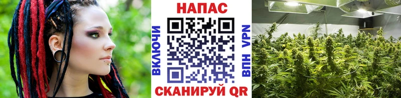 ссылка на мегу маркетплейс  Кемь  Конопля White Widow  купить закладку 